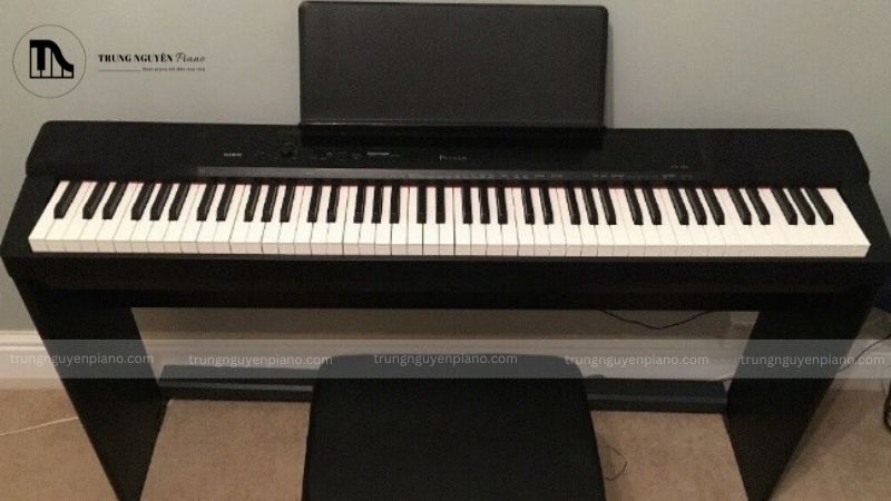 Công nghệ AiR (Acoustic and Intelligent Resonator) của Casio PX-150