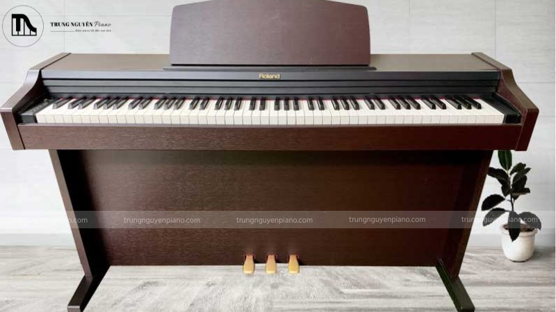 Piano Roland là lựa chọn phổ biến cho người chơi chuyên nghiệp