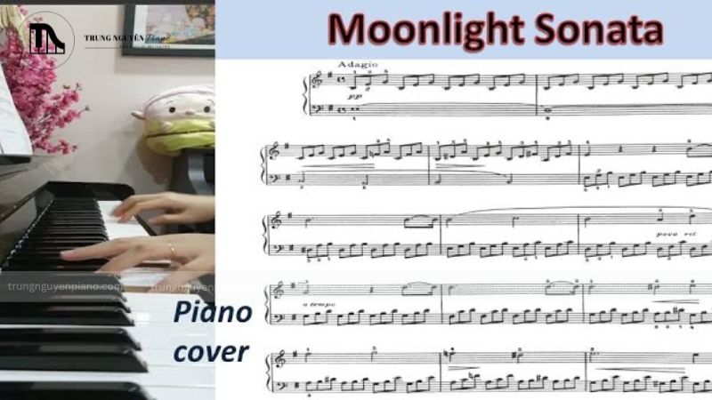 Chương 2: Allegretto (Hơi nhanh)