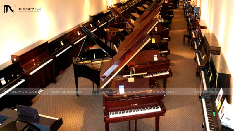 Hãy tìm kiếm địa chỉ thuê uy tín để giúp bạn yên tâm về chất lượng đàn