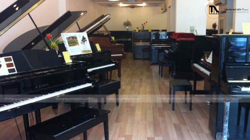 Top 10 trung tâm piano tại Hà Nội, TP HCM uy tín hàng đầu 14 Hãy tham khảo ý kiến từ bạn bè, người thân, hoặc đồng nghiệp đã từng học nhạc