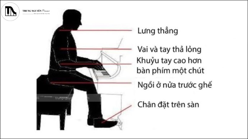 Tư thế ngồi đàn Piano chuẩn đẹp cho người mới bắt đầu 4 Tư thế ngồi đúng khi chơi đàn piano