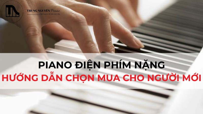 Piano Điện Phím Nặng: Hướng Dẫn Chọn Mua Cho Người Mới Bắt Đầu