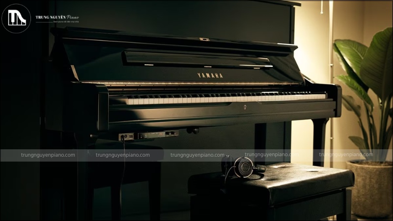 Silent piano là 1 cây đàn cơ với chất lượng âm thanh tối ưu, không làm phiền người khác