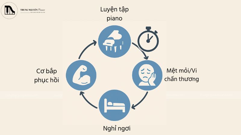 Cần có quãng nghỉ hợp lý khi chơi piano để phòng tránh chấn thương piano