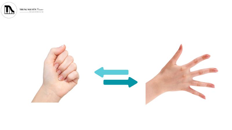 Làm nóng ngón tay: xòe nắm tay