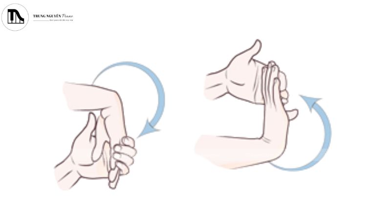 Bài tập: Giãn cơ duỗi cổ tay 