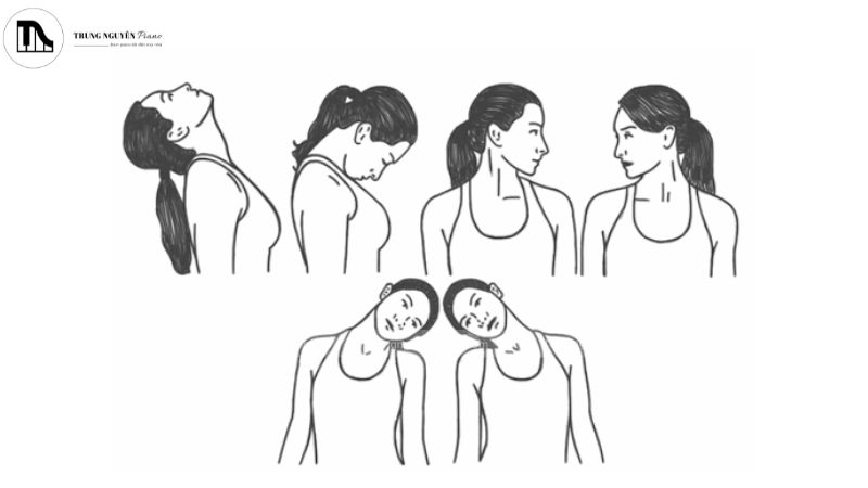 Bài tập: Nghiêng cổ, Cúi/ngửa cổ