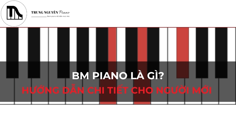 Bm Piano Là Gì? Hướng Dẫn Chi Tiết Cho Người Mới Bắt Đầu