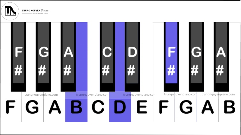 Hợp âm Bm piano là gì? hướng dẫn chi tiết cho người mới bắt đầu 3 Các nốt nhạc tạo nên hợp âm Bm