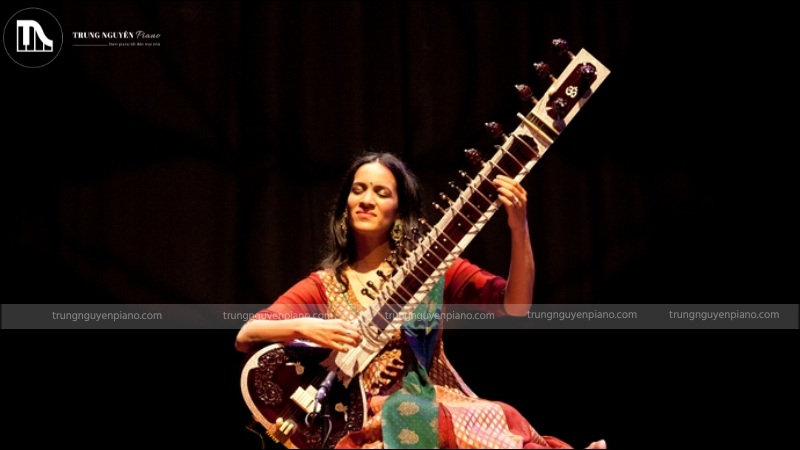 Đàn Sitar là nhạc cụ truyền thống và cũng không thể thiếu khi chơi nhạc Ấn Độ