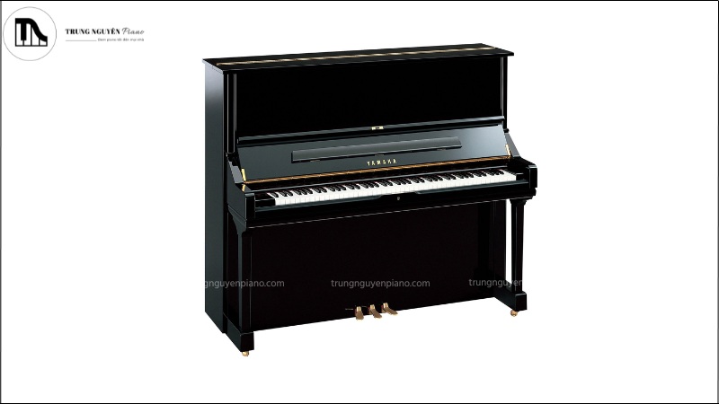 Đàn Piano là loại nhạc cụ ngày càng trở nên phổ biến trong những năm gần đây