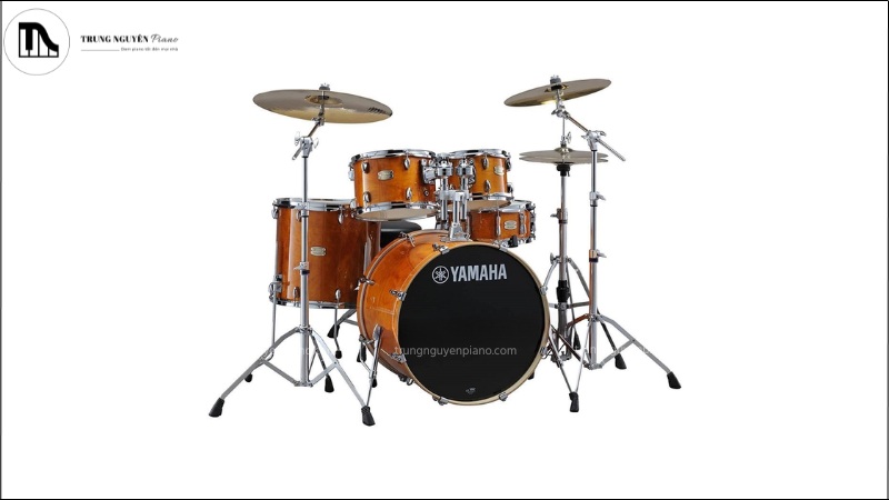 Còn được gọi là trống “Kick”, trống Bass thường là trống lớn nhất và là trống duy nhất được chơi bằng bàn đạp chân