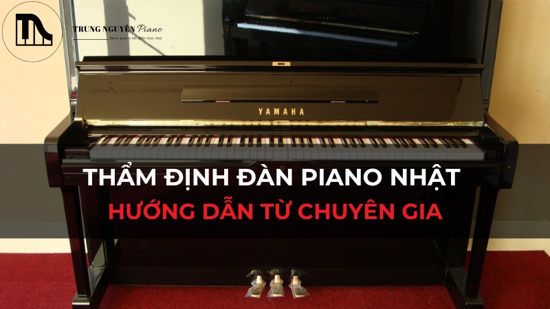 Cách thẩm định chất lượng đàn piano Nhật nội địa