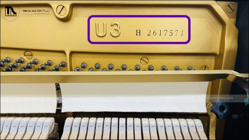 Số serial trên khung gang của đàn 