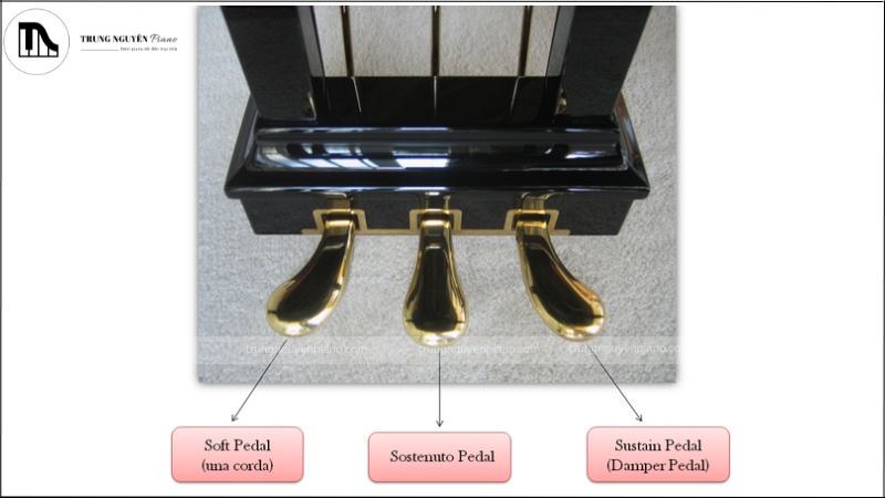Bbộ 3 pedal của đàn upright piano