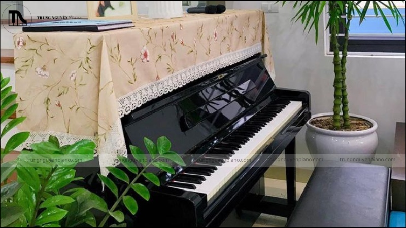Con trai học piano có nên không? Giải mã định kiến & khám phá lợi ích vàng 8 Một góc học tập piano được bài trí gọn gàng, sáng sủa, có cây xanh trang trí.