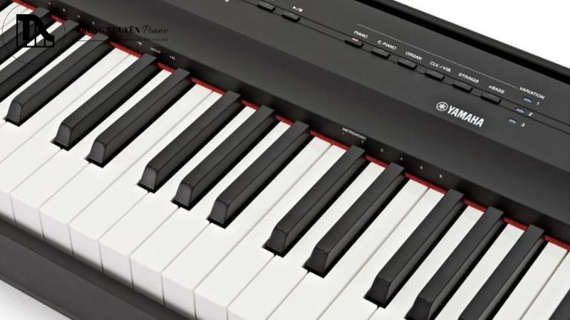 Công nghệ bàn phím trên đàn Piano điện