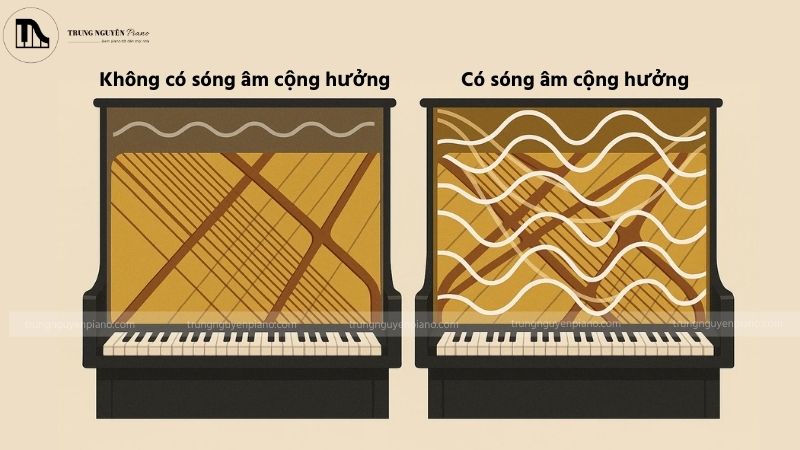 Sự khác biệt giữa âm thanh có và không có mô phỏng cộng hưởng