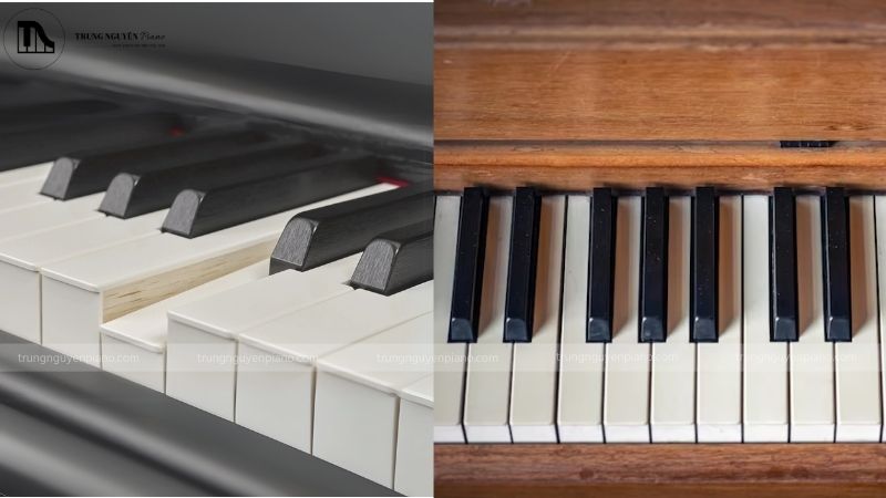 So sánh phím gỗ và phím hybrid của Piano