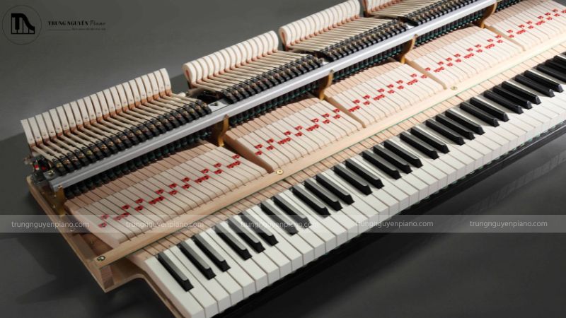 Giá Piano báo nhiêu hợp lý? Bí quyết thương lượng để mua đàn giá tốt 2 Hãy nghiên cứu rõ các yếu tố trước khi đàm phán