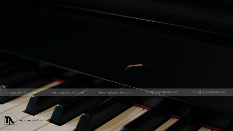 Giá Piano báo nhiêu hợp lý? Bí quyết thương lượng để mua đàn giá tốt 8 Một vết xước nhỏ, khó thấy trên bề mặt sơn bóng của đàn piano