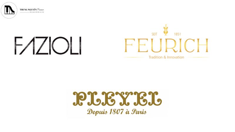 Các thương hiệu khác đến từ châu Âu