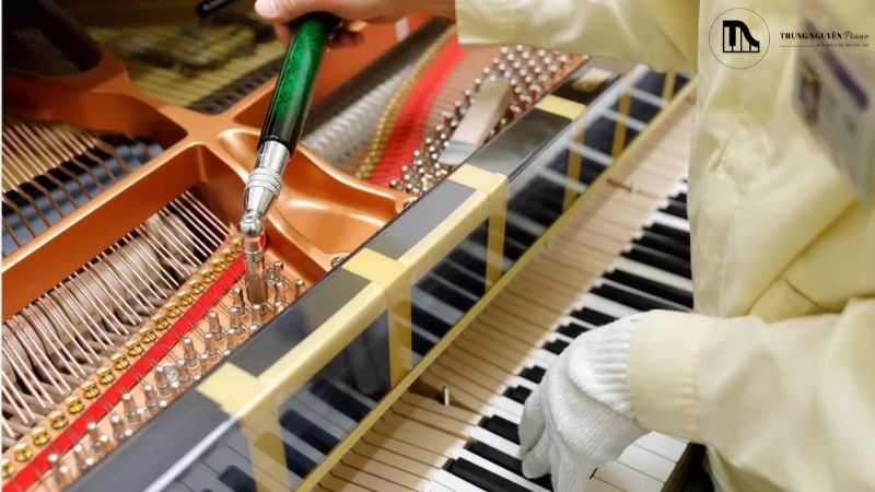 Kỹ thuật viên đang kiểm tra bên trong cây đàn piano cơ