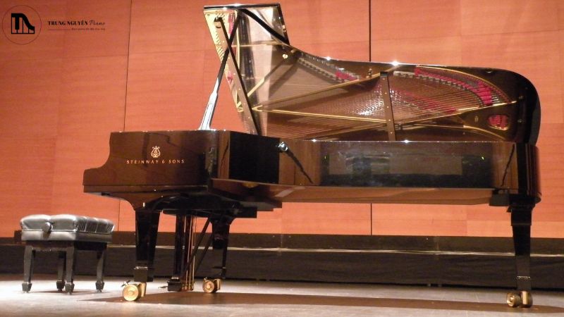 Steinway & Sons Model D grand piano trên sân khấu hòa nhạc