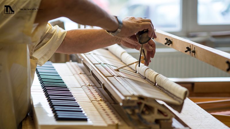 Bên trong đàn Blüthne