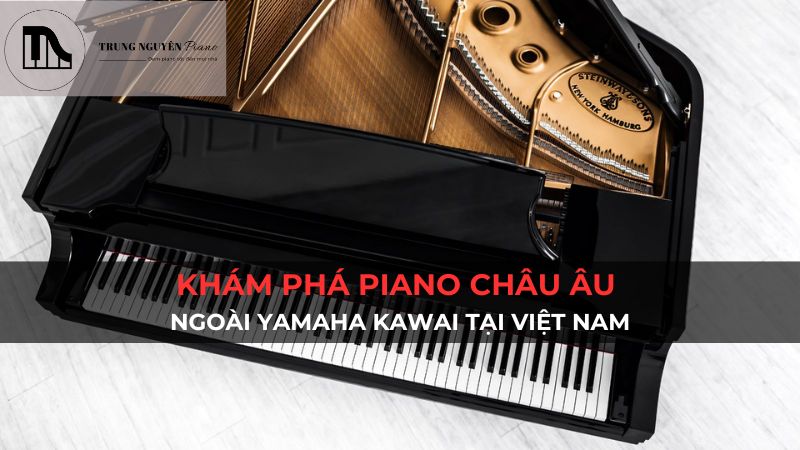 Khám phá Piano Châu Âu Ngoài Yamaha Kawai Tại Việt Nam