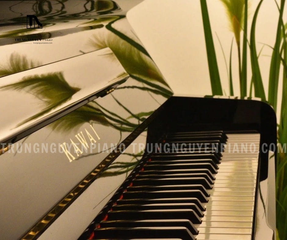 Đàn Piano Kawai NS15 sở hữu 88 phím tiêu chuẩn, độ nhạy cao