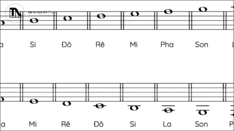 Đọc sheet nhạc piano nhanh: Mẹo hình ảnh hóa dễ làm! 12 Việc luyện tập thường xuyên này sẽ giúp não bộ tạo kết nối nhanh chóng