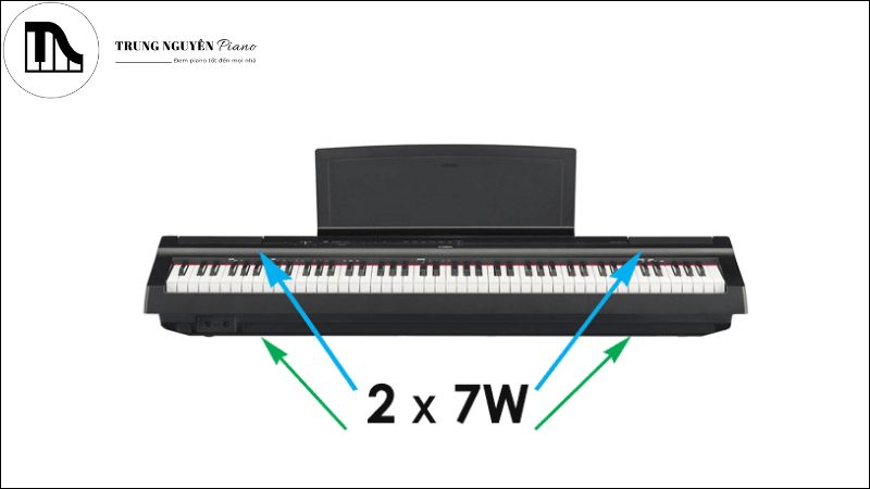 Loa và chất lượng âm thanh của đàn P125
