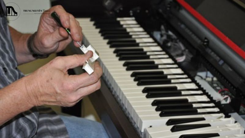 Phân biệt sữa chữa và lên dây piano
