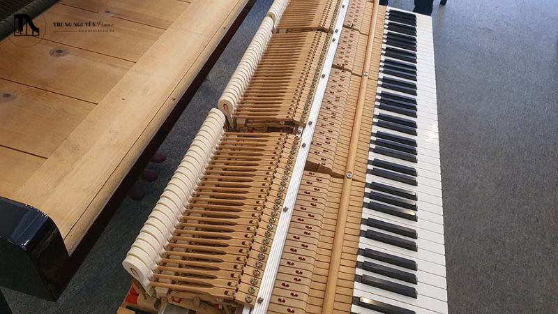 Tìm hiểu về bộ máy action piano cơ