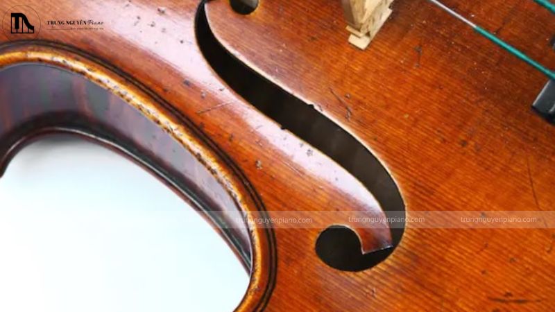 Hộp cộng hưởng ở đàn violin