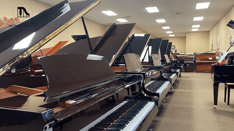 Cách chọn Pinano điện phù hợp