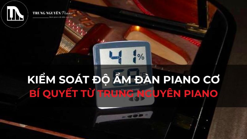 Kiểm Soát Độ Ẩm Đàn Piano Cơ: Bí Quyết Từ Trung Nguyên Piano