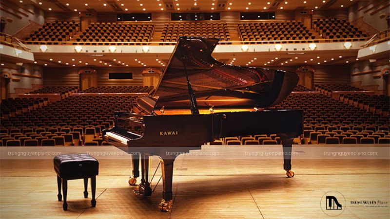 Grand piano sang trọng trong phòng hòa nhạc