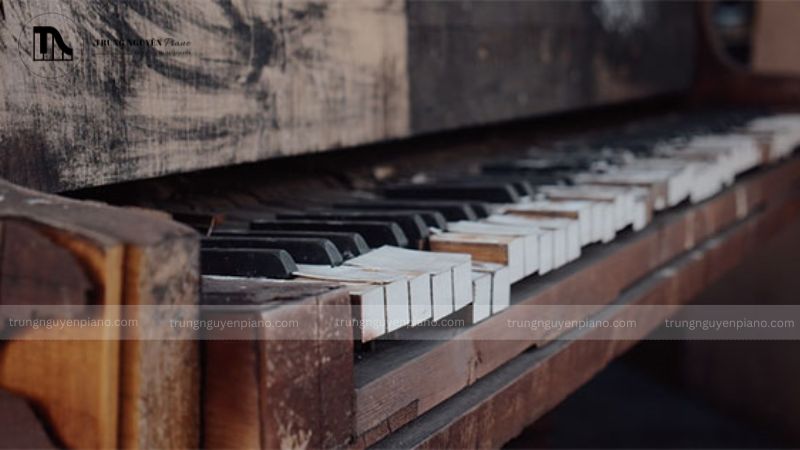 Mối mọt piano cơ tấn công đàn