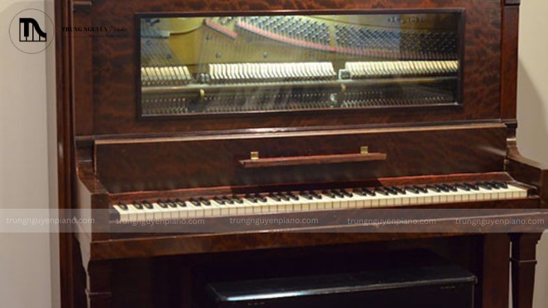 Nhiều người thường nghĩ đến việc tự tìm cách xử lý mối mọt piano tại nhà