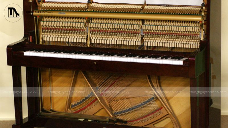 Môi trường xung quanh có ảnh hưởng của độ ẩm và nhiệt độ