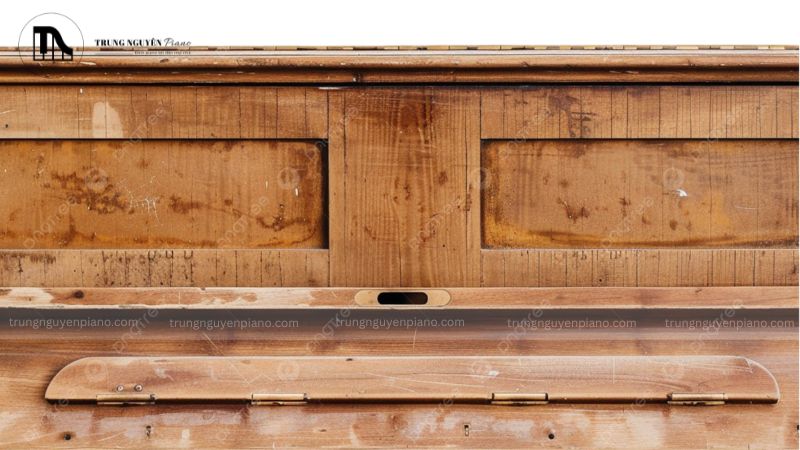 Mối mọt có ảnh hưởng đến âm thanh đàn piano cơ không?