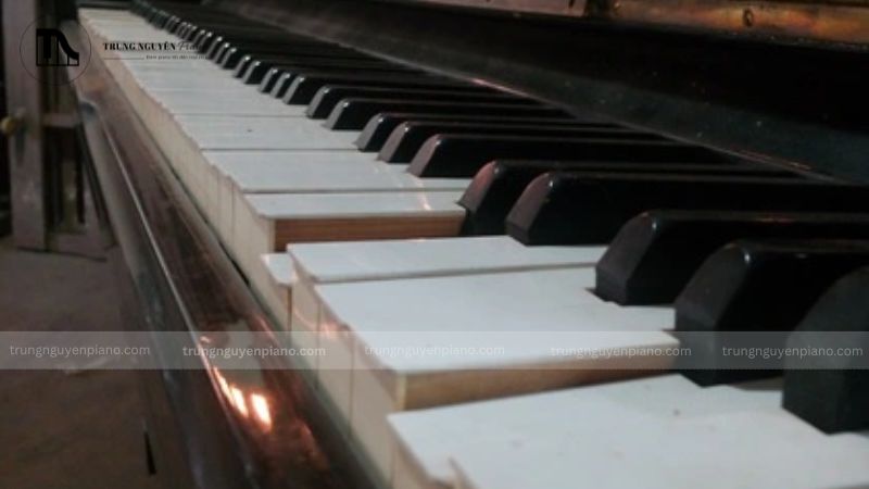 Kỹ thuật viên sẽ sử dụng kinh nghiệm, kết hợp các dụng cụ chuyên dụng để kiểm tra đàn 