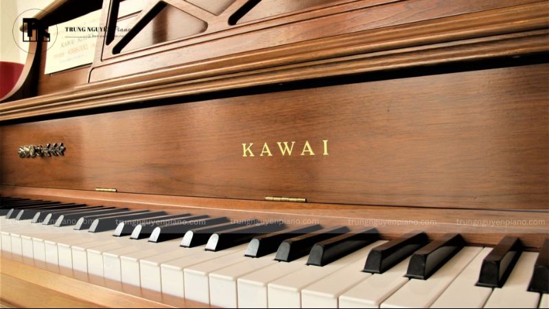 Việc lau chùi, vệ sinh đàn thường xuyên giúp cây đàn luôn sạch đẹp