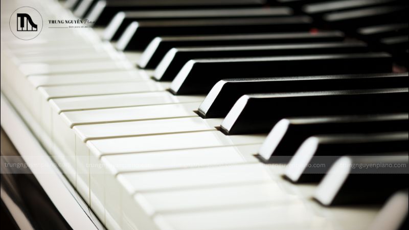 Đảm bảo khu vực sàn nhà, chân tường xung quanh đàn luôn sạch sẽ