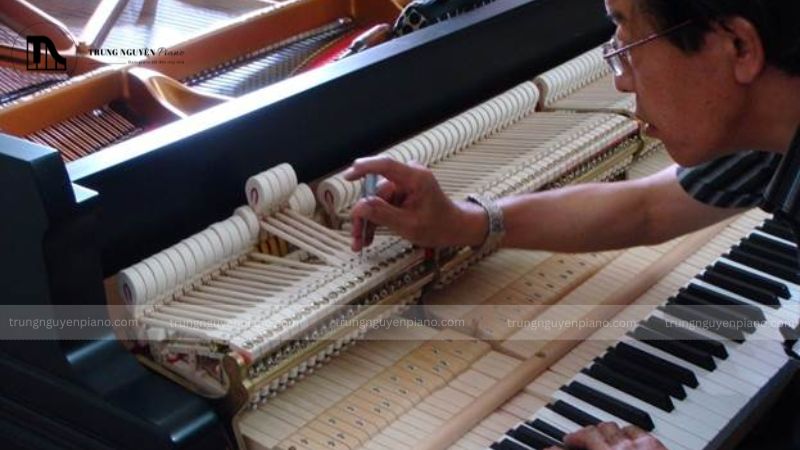 Lỗ mối nhỏ trên bề mặt gỗ đàn piano
