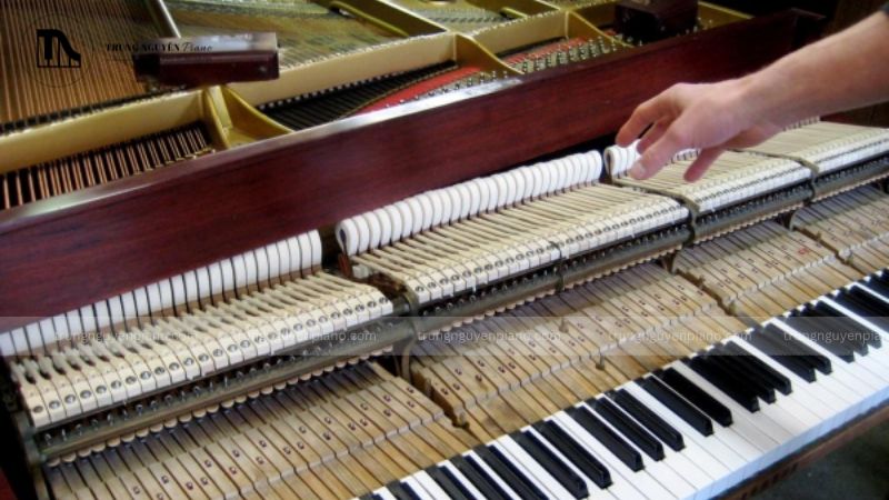 Bàn tay đang dùng ngón tay ấn nhẹ vào một vùng gỗ để kiểm tra mối mọt piano cơ