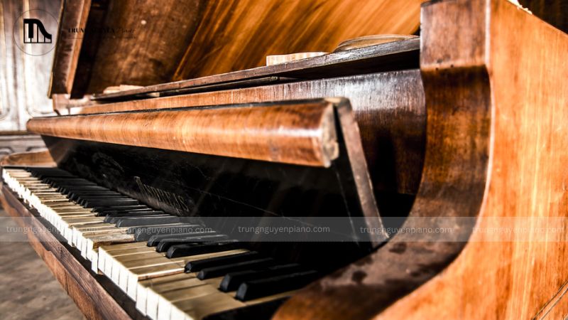 Mối thường thích làm tổ và tấn công ở những nơi kín đáo, ẩm thấp và ít bị làm phiền